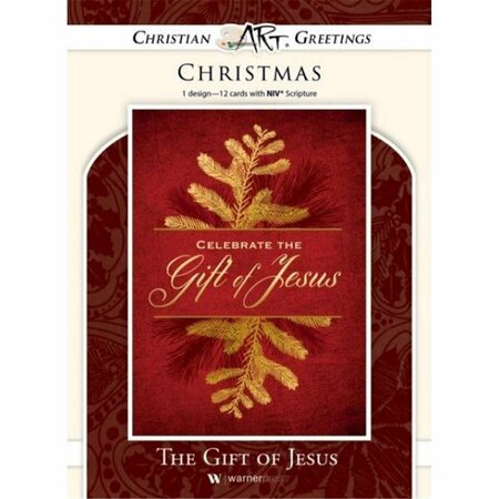 GO-GO Celebrate The Gift Of Jesus NIV Card, 12PK GO3320647